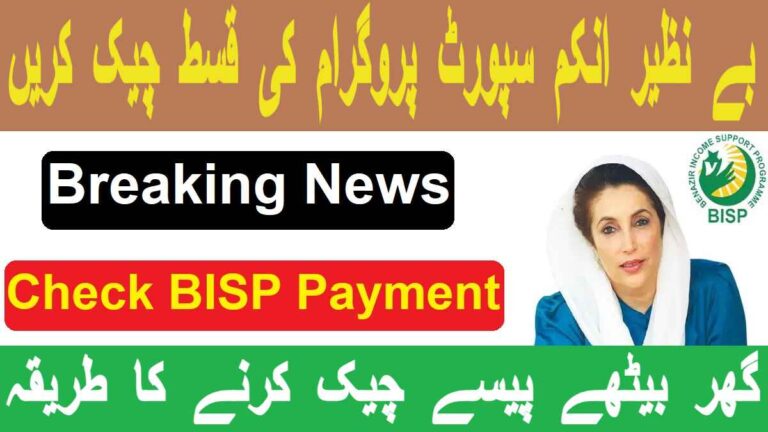 Check Benazir Income Support Program New Payment