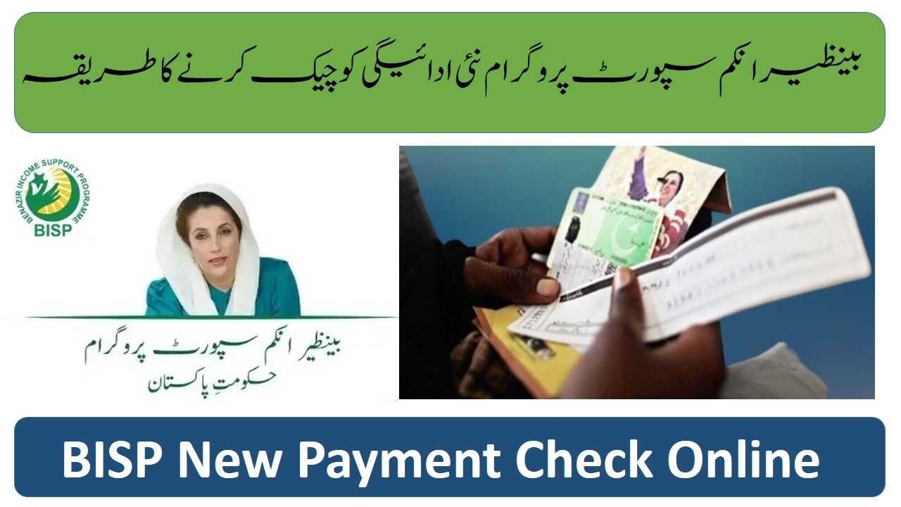 Benazir Income Support Programme New Payment Check