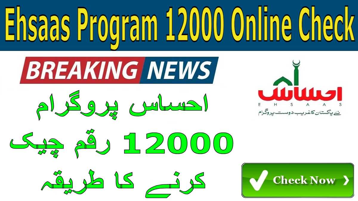 Ehsaas Program 12000 Online Check