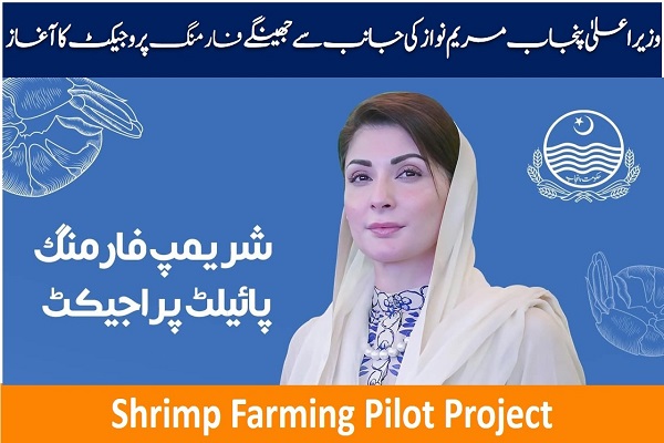 Shrimp Farming Pilot Project